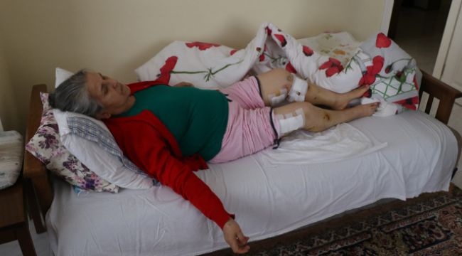 Sokak köpeklerinin saldırısına uğrayan yaşlı kadın ölümden döndü