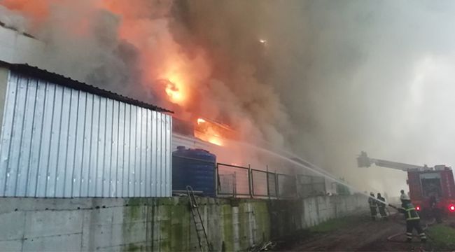 Tavuk çiftliği alev alev yanıyor