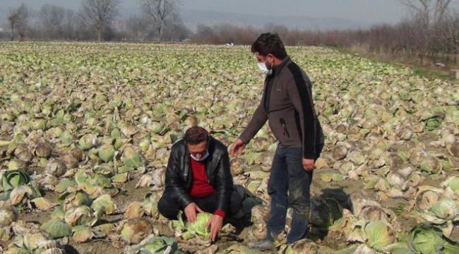 Üreticiler marketlerdeki fiyat artışlarından şikayetçi
