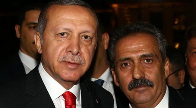 Yavuz Bingöl'den Cumhurbaşkanı yorumu