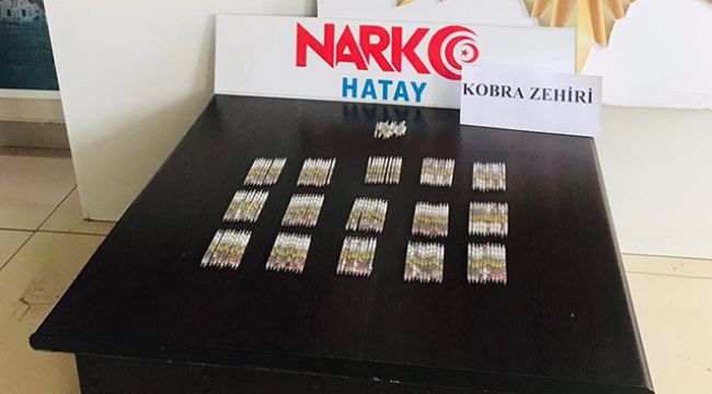 156 tüp kobra zehri ele geçirildi