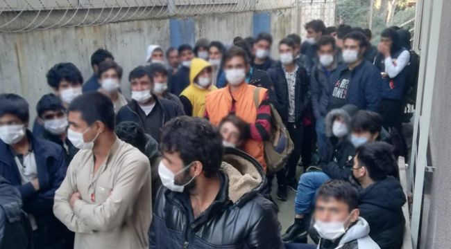 90 kaçak göçmen polis operasyonunda yakalandı