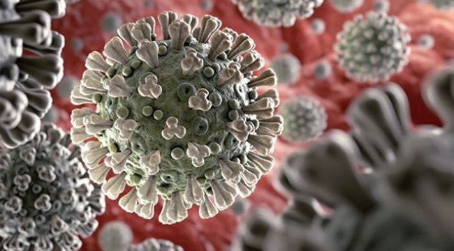 Almanya'da Covid-19 vakaları artış gösterdi