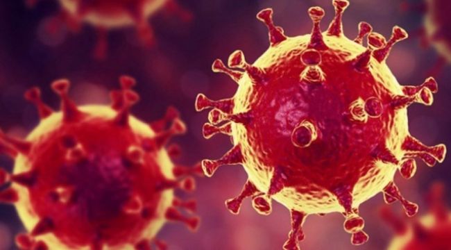 Almanya'da son 24 saatte 17 bin 482 korona virüs vakası