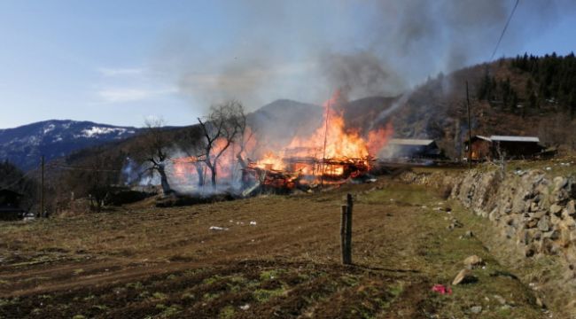 Artvin'de korkutan yangın