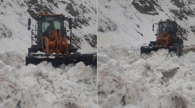 Bingöl'de çığ düştü, kapanan yol kısa sürede açıldı