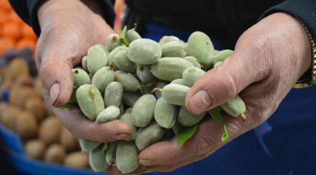 Çağla sezonu 50 TL'den açtı