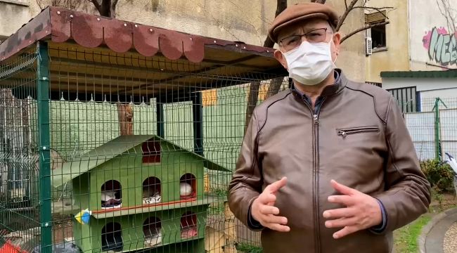 CHP'li Sertel'den Hayvan Hakları Yasası önerisi