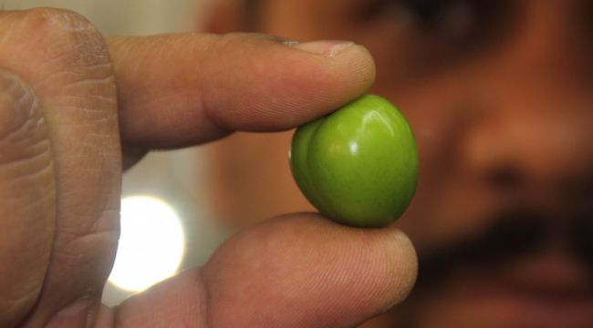 Eriğin fiyatı pastırmayı geçti