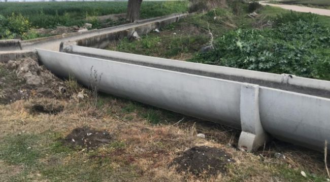 Hamile kadın kardeşi tarafından öldürüldü