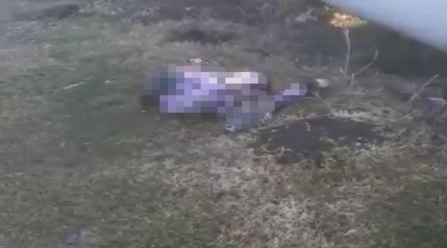 Hamile kadın yol kenarında ölü bulundu