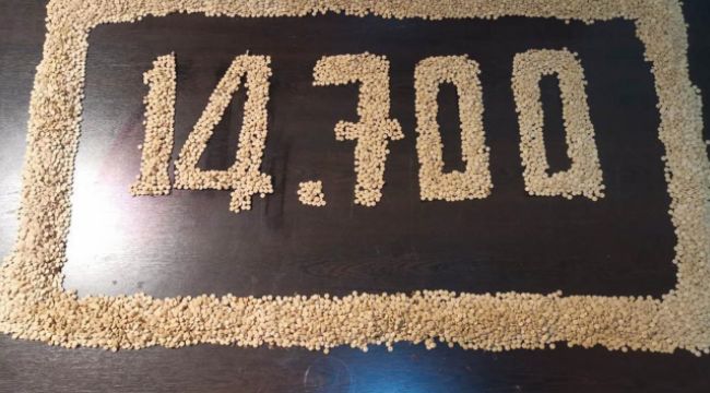 İskenderun'da 14 bin 700 adet uyuşturucu hap ele geçirildi