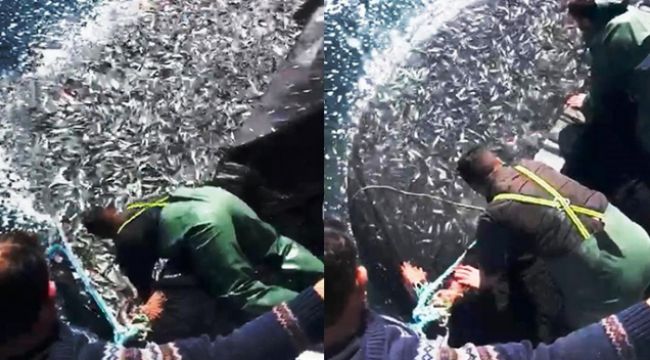 İZMİRLİ BALIKÇILARDAN ÖRNEK HAREKET