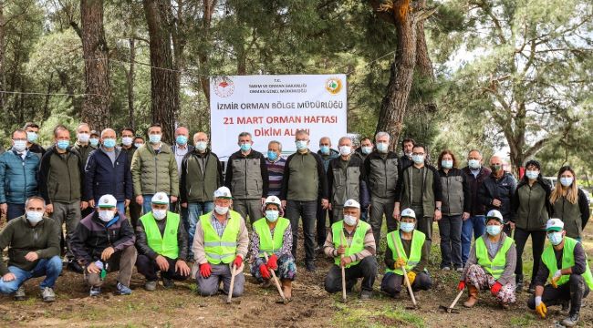 İZMİRLİLER ADINA 500 FİDAN