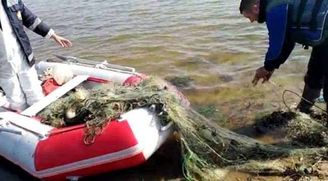 Kaçak avlanan 2 ton balık yeniden suya bırakıldı