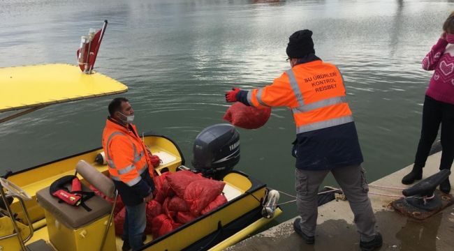 KAÇAK AVLANAN AKİVADESLER DENİZE BIRAKILDI
