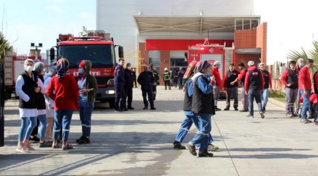 Kuru yemiş fabrikasındaki yangında işçiler dumandan etkilendi