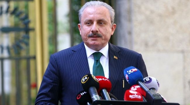 Mustafa Şentop'tan anayasa açıklaması