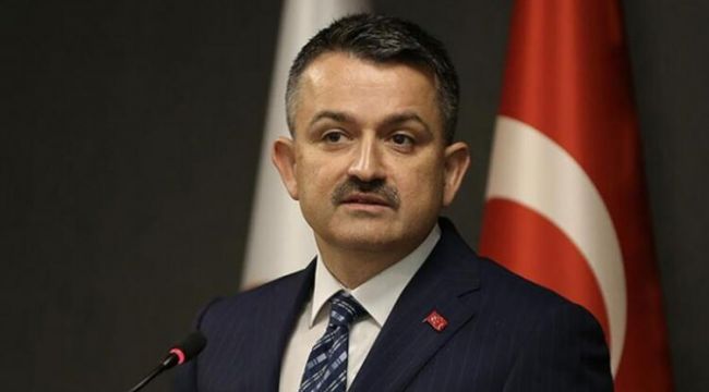 PANCAR VE ŞEKER ÜRETİMİNDE REKOR KIRILDI