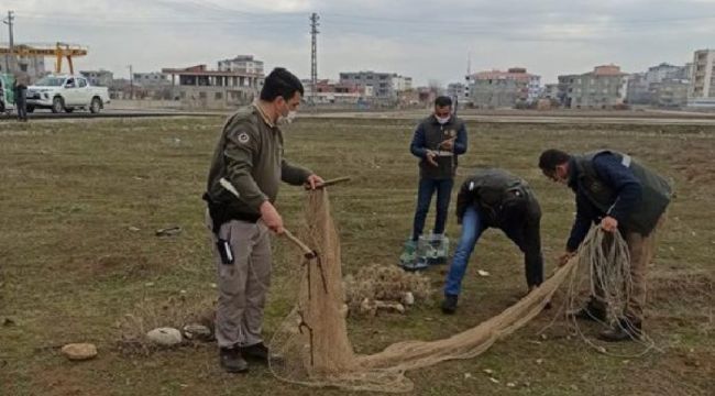 Saka kuşunu avlayan kişiye 5 bin 879 lira ceza kesildi