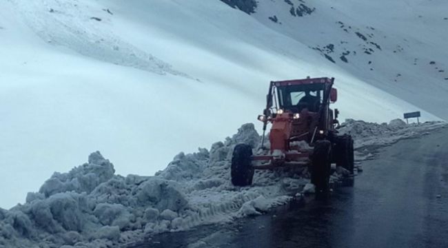 Van'da 165 yerleşim yeri ulaşıma kapandı