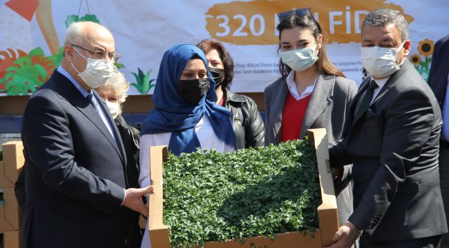 320 BİN FİDE 15 BİN KADINLA BULUŞTURULDU