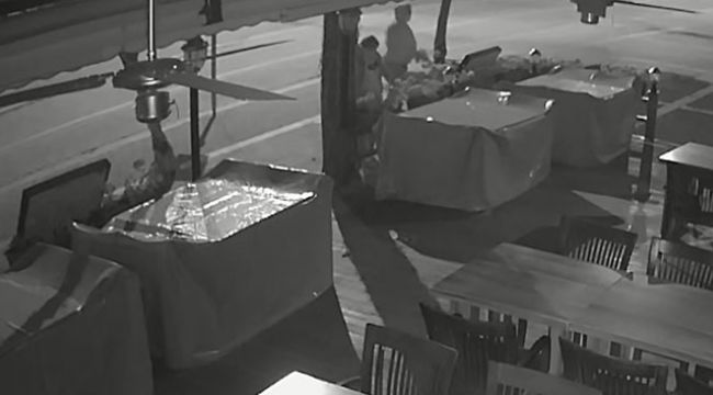 Alanya'da restoran önünden çiçek hırsızlığı kamerada