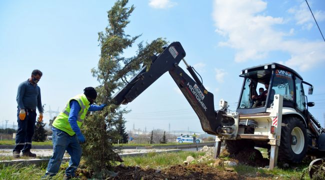 ALİAĞA'DA AĞAÇLANDIRMA ÇALIŞMALARINA DEVAM
