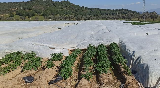 "Alımlar patates üreticisine soluk aldıracak"