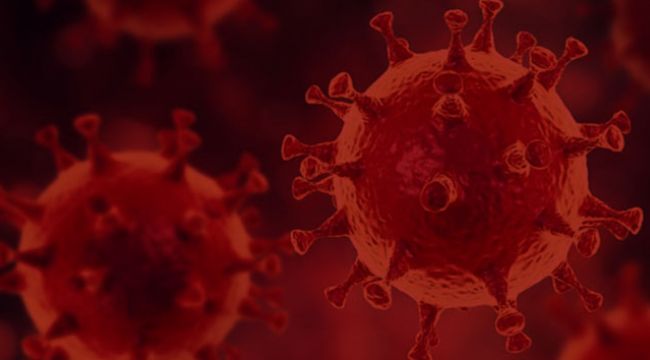 Brezilya'da Covid-19'a bağlı günlük can kaybı 4 bini geçti