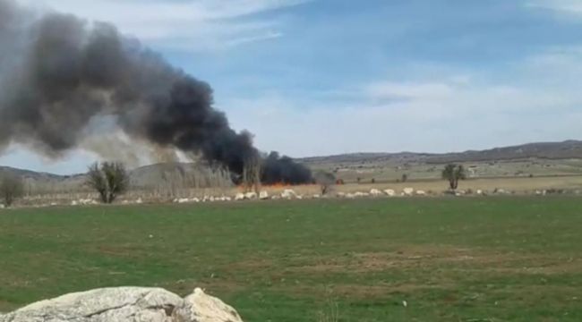 Çorum'daki ‘kuş cenneti'nde korkutan yangın