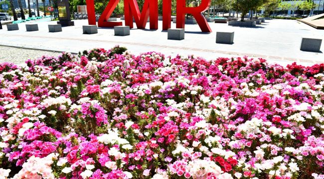 İZMİR ÇİÇEK AÇTI