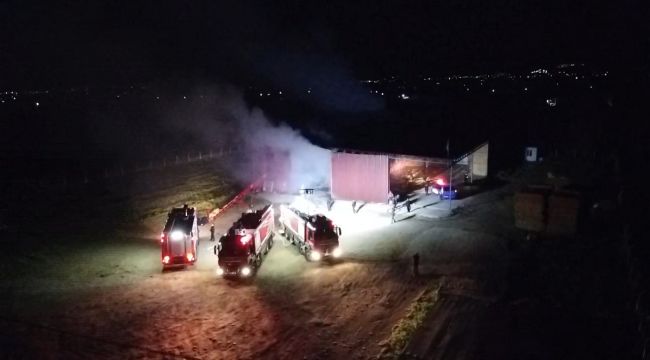 İZMİR'DE SAMAN DEPOSU ALEV ALEV YANDI