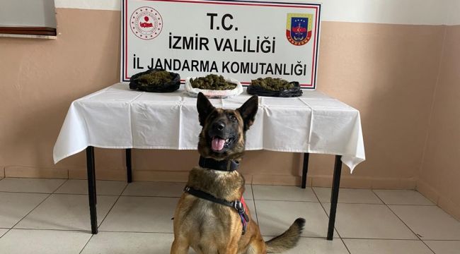 JANDARMADAN ZEHİR BASKINLARI