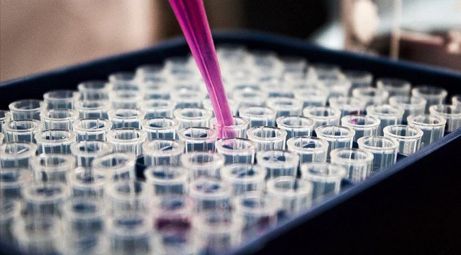 Japonya'da Covid-19 tedavisi için