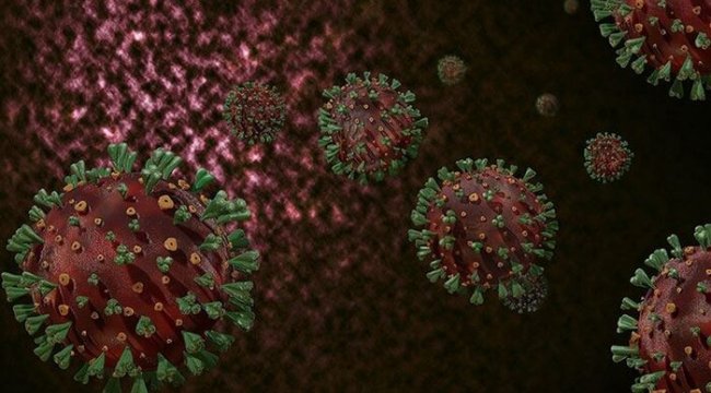 Nipah virüsü nedir? Türkiye’de var mı? İşte belirtileri...