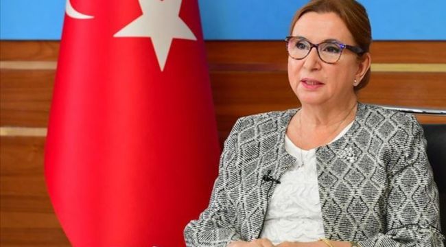 RUHSAR PEKCAN GÖREVİNDEN ALINDI
