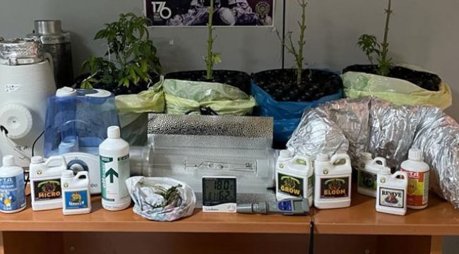 Sarıyer'de 'saksıda hint keneviri' operasyonu