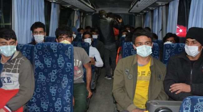 Siverek'te yabancı uyruklu kaçak göçmenler yakalandı