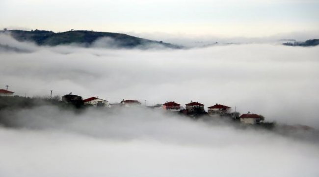 Zonguldak'ta sis yaşamı zorlaştırdı
