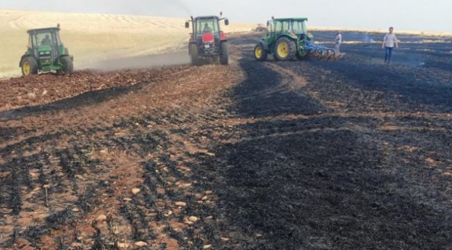 30 Dönümlük arpa küle döndü