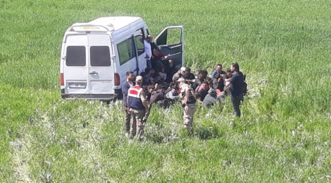 49 göçmenin bulunduğu minibüs yoldan çıktı