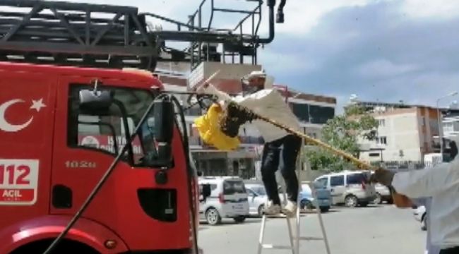 Acil servisi arılar bastı