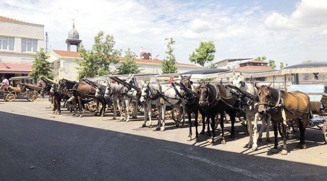 Adaların kayıp atları ile ilgili 'Kuzey Irak'ta iddiası