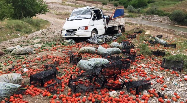 Adıyaman'da kamyonet şarampole devrildi