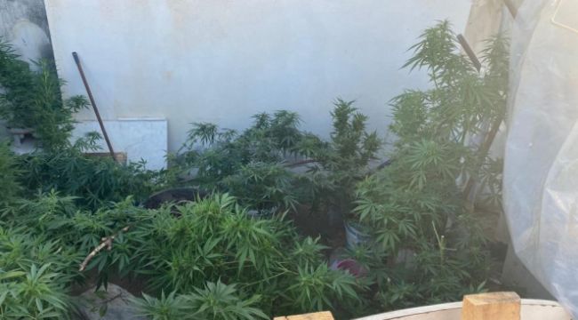 Antalya'da eş zamanlı uyuşturucu operasyonu