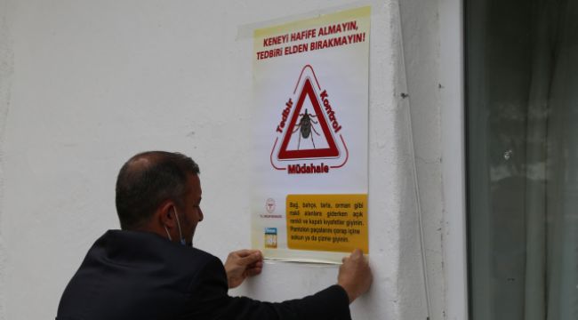 Artvin'de kene kabusu geri döndü