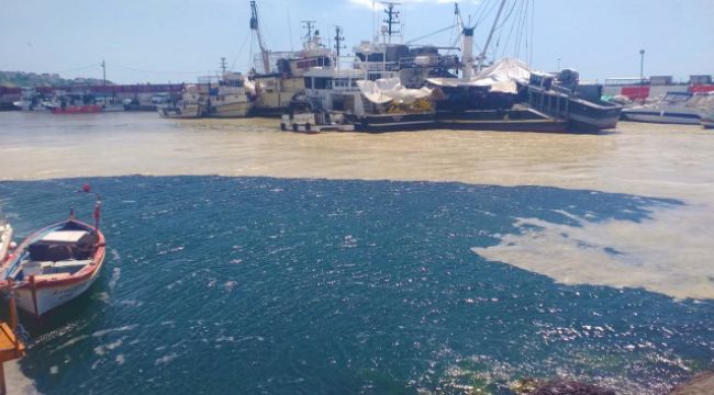 Balıkçıların kirli kabusu ‘salya' geri döndü
