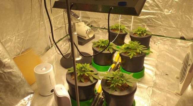 Başkent'te zehir tacirlerine 'Şafak' operasyonu