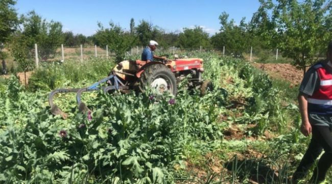 Drone ile tespit edildi, sökülerek imha edildi